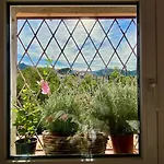 Daire Fisherman's House With Sea Views Collioure